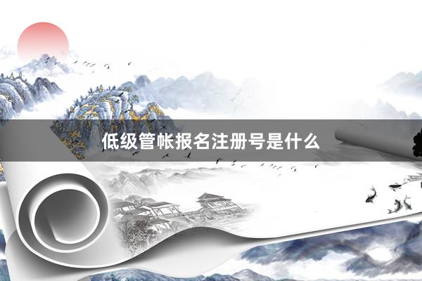 低级管帐报名注册号是什么